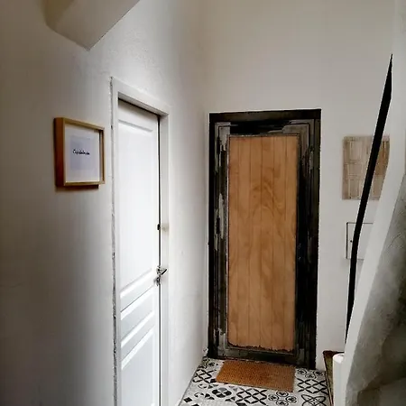 La Maison Grivolas Et Avignon