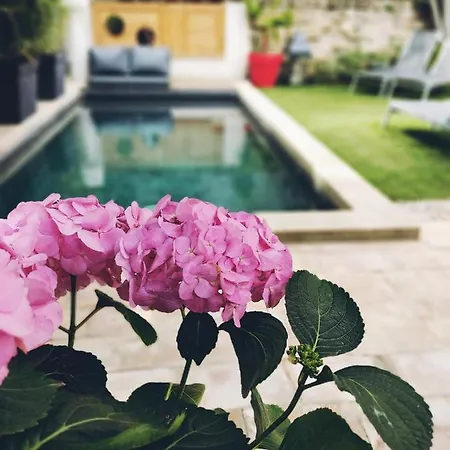 La Maison Grivolas Et Guest house Avignon